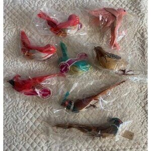 Vintage Feathered Bird Decorations Set Hong Kong Colors 3 To 6” New